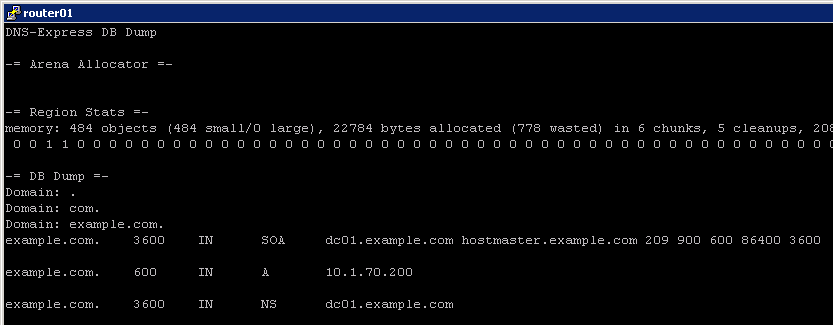 ../../_images/DNS_Express_result3.png