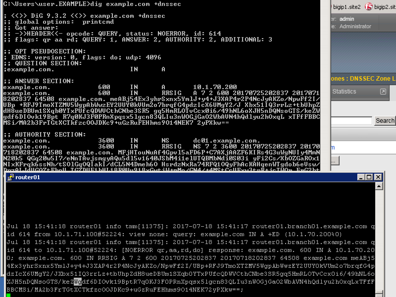 ../../_images/dnssec-logs.png